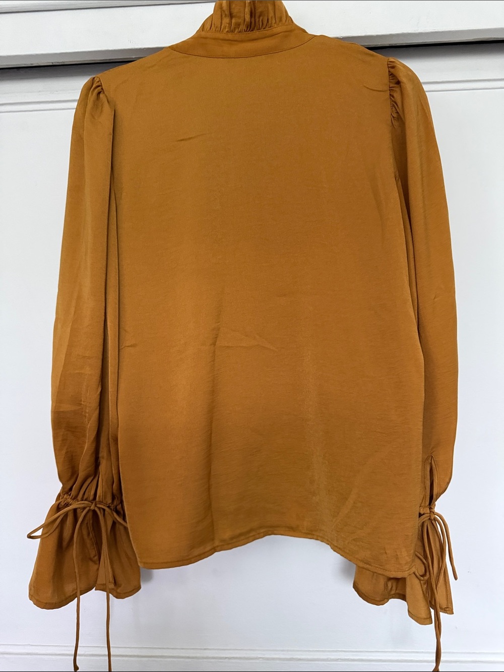 Banana Republic Rust-Tone Ruffle Tie-Neck Blouse - Picture 3 of 8